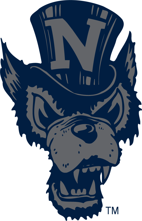 Nevada Wolf Pack 2006-2023 Secondary Logo diy iron on heat transfer